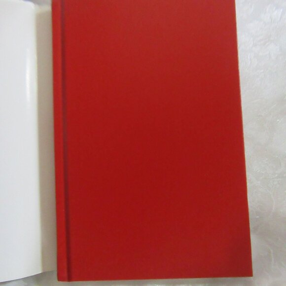 Chicken Soup for the Soul Christmas Virtues Hard Cover - Picture 2 of 13